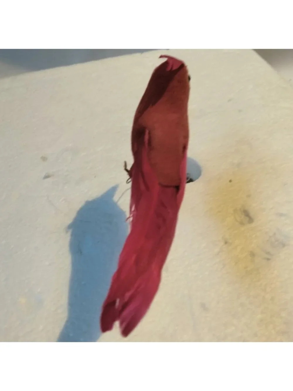 Red Cardinal Bird Figurine Feathers Wire Pick Crafts